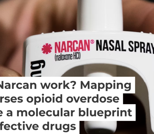 Naloxone competes with opioids for the same receptor on the surface of neurons. Matt Rourke/AP Photo
